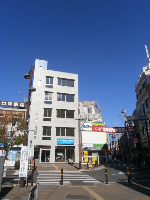 レイク・アベニュー大岡山 ショッピング施設：大岡山北口商店街　402m　近隣