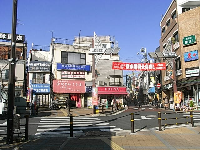 カイトシオン大岡山 ショッピング施設：大岡山北口商店街　240m　近隣